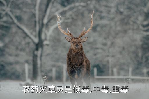 農藥特什么靈,農藥穩特能防治什么蟲