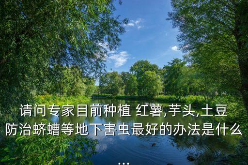請問專家目前種植 紅薯,芋頭,土豆防治蠐螬等地下害蟲最好的辦法是什么...