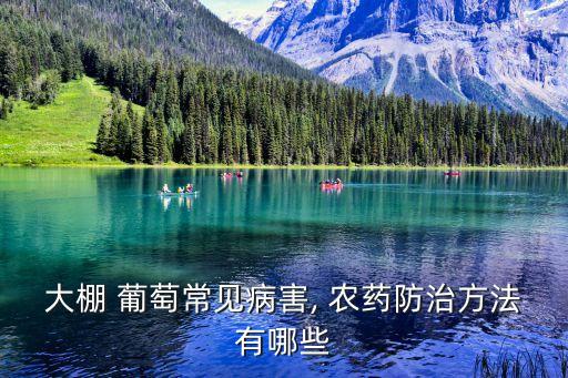 大棚 葡萄常見病害, 農藥防治方法有哪些