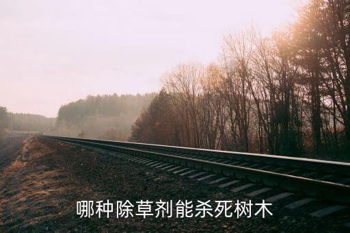 哪種除草劑能殺死樹木
