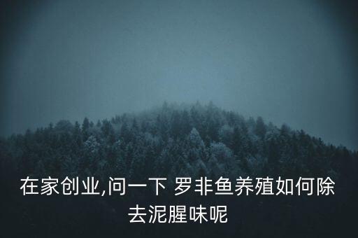 羅非魚有農藥味什么原因,釣羅非魚用什么味型
