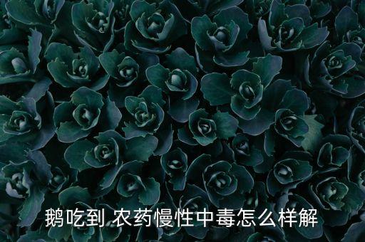 鵝吃到 農藥慢性中毒怎么樣解
