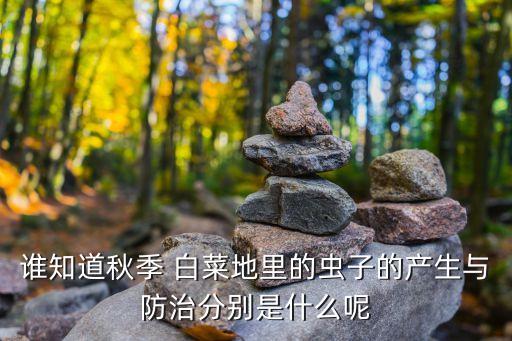誰知道秋季 白菜地里的蟲子的產生與防治分別是什么呢