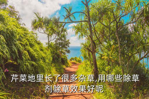  芹菜地里長了很多雜草,用哪些除草劑除草效果好呢