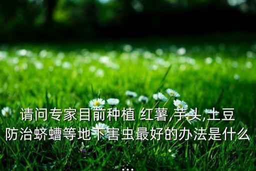 紅薯要噴什么農藥呢,紅薯用什么農藥來殺蟲