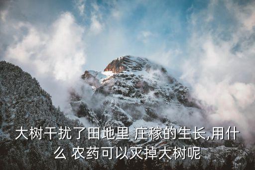 大樹干擾了田地里 莊稼的生長,用什么 農藥可以滅掉大樹呢