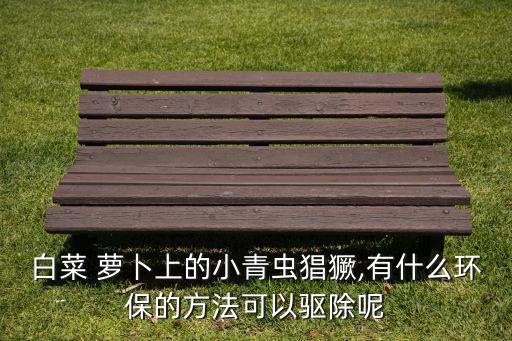蘿卜生蟲子用什么農(nóng)藥,蘿卜苗打什么農(nóng)藥好