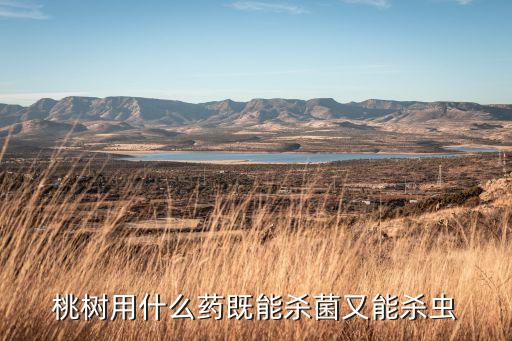 銀果農(nóng)藥對什么藥好,什么農(nóng)藥能使果面光亮