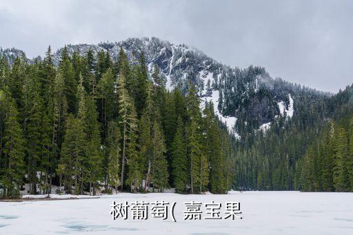 樹葡萄( 嘉寶果