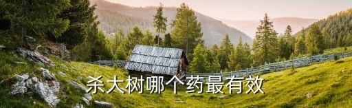 殺大樹哪個藥最有效