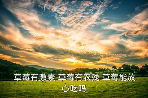 草莓不使用農藥嗎為什么,草莓為什么打那么多農藥
