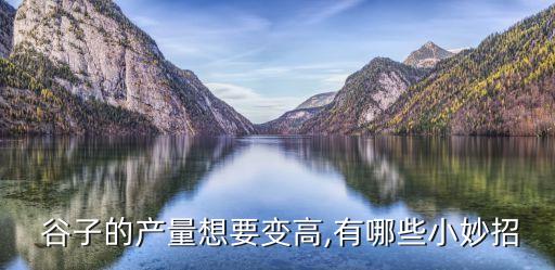  谷子的產量想要變高,有哪些小妙招
