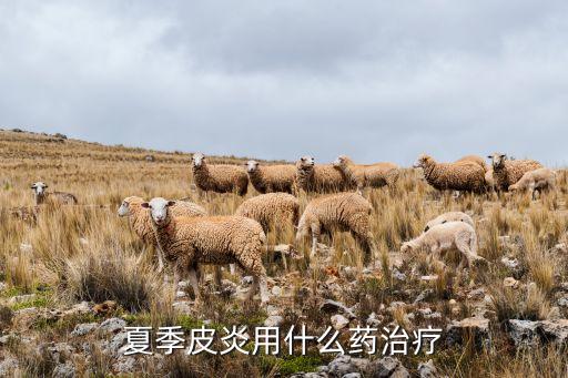 什么農藥能治皮膚病,打農藥引起的皮膚病