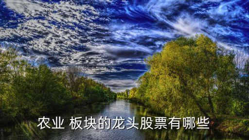 農(nóng)業(yè) 板塊的龍頭股票有哪些