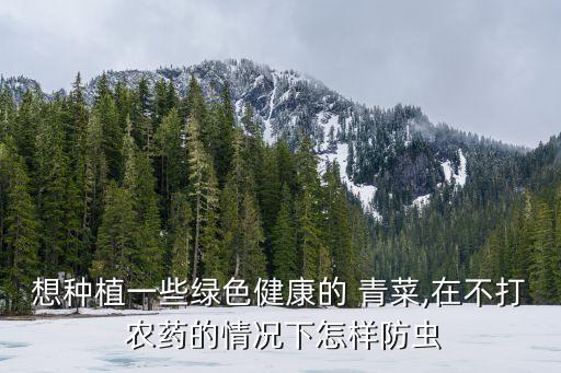 青菜長蟲不用農藥用什么呢,什么青菜不用打農藥