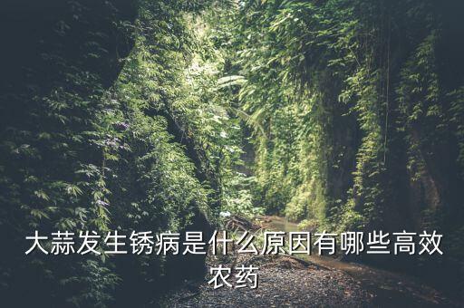  大蒜發生銹病是什么原因有哪些高效 農藥