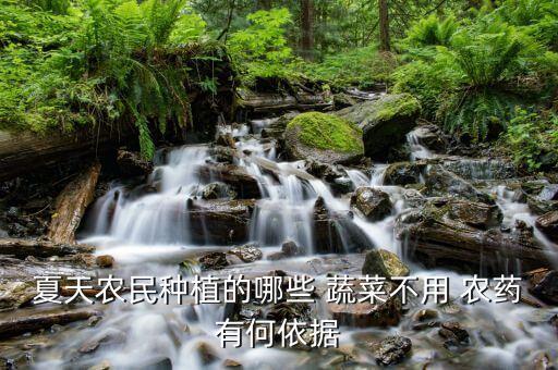 沒農藥的蔬菜有什么手續,洗蔬菜用什么洗去農藥