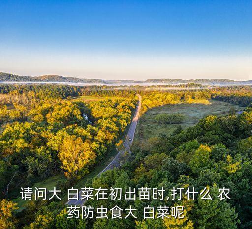 種植白菜打什么農藥好些,白菜殺蟲用什么農藥