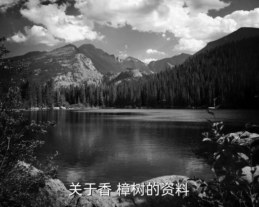 什么農藥能把香樟樹花弄掉,香樟樹打什么農藥