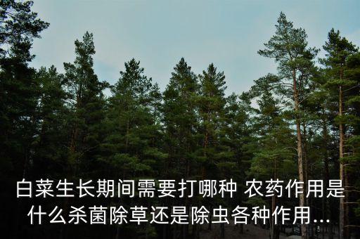 ,打小菜蛾什么農藥最管用