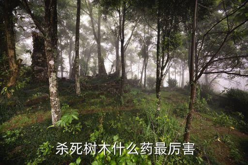 小樹用什么農藥殺死,什么農藥能大量殺死蒼蠅