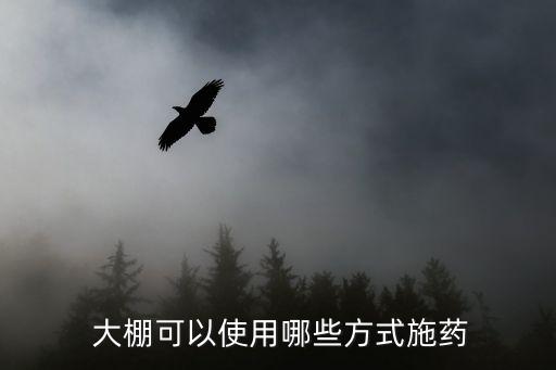  大棚可以使用哪些方式施藥
