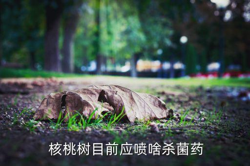 核桃樹打什么農藥最好,什么農藥能打死核桃樹呀