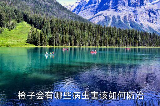 橙子可以混什么農藥殺蟲,橙子保果用什么農藥