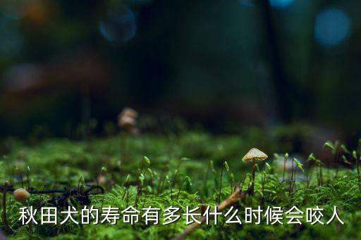  秋田犬的壽命有多長什么時候會咬人