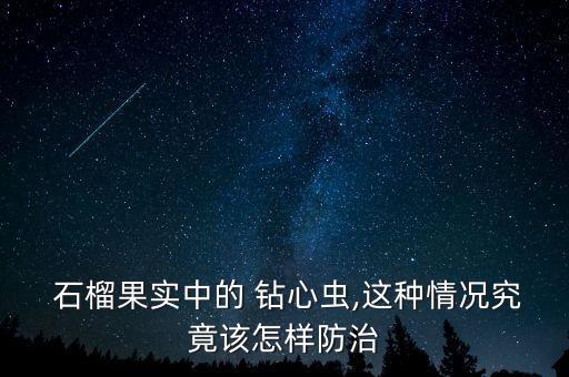  石榴果實(shí)中的 鉆心蟲,這種情況究竟該怎樣防治