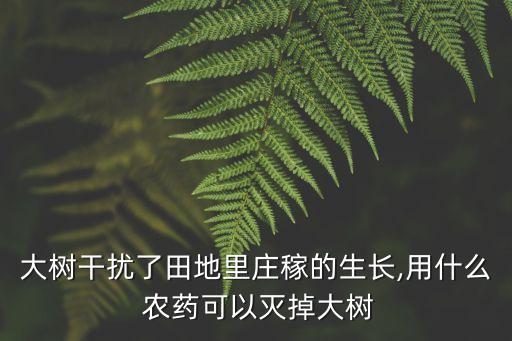,什么農藥使樹不死還不長