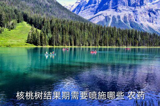  核桃樹結果期需要噴施哪些 農藥