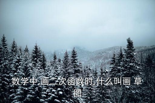 數學中,畫二次函數時,什么叫畫 草圖