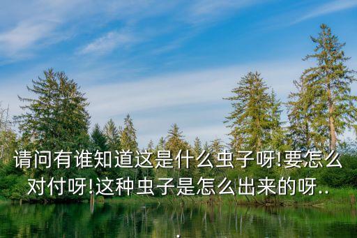 殺滅鞋板蟲用什么農藥