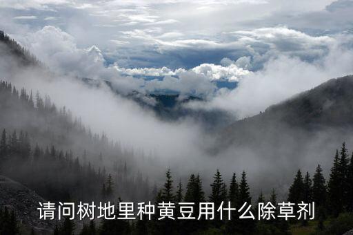 種植大豆要施什么農藥,國家對種植大豆有什么政策