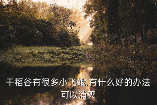 干稻谷有很多小飛蛾,有什么好的辦法可以消滅