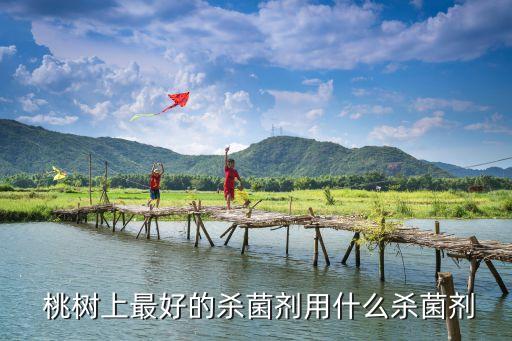 桃樹流油什么農藥最好,桃樹害蟲用什么農藥