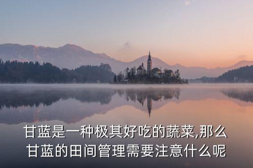  甘藍(lán)是一種極其好吃的蔬菜,那么 甘藍(lán)的田間管理需要注意什么呢