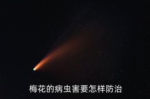  梅花的病蟲害要怎樣防治