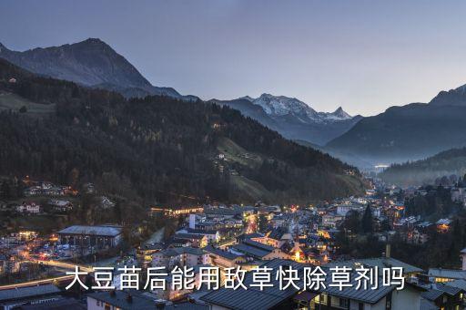 大豆剛出來打什么農(nóng)藥,大豆能生產(chǎn)什么出來