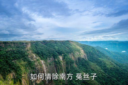用什么農藥可以殺死菟絲子,什么農藥可以殺死竹根樹根