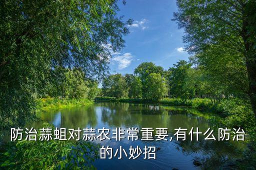 什么農(nóng)藥能殺死大蒜蟲子,現(xiàn)在大蒜打什么農(nóng)藥好