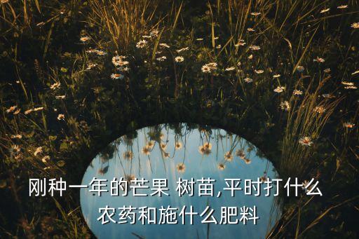 剛種一年的芒果 樹苗,平時(shí)打什么 農(nóng)藥和施什么肥料