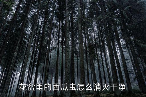 花盆里的西瓜蟲怎么消滅干凈