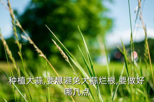 種蒜苗不能用什么農藥,蒜苗不能和什么吃