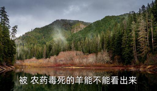 被 農(nóng)藥毒死的羊能不能看出來