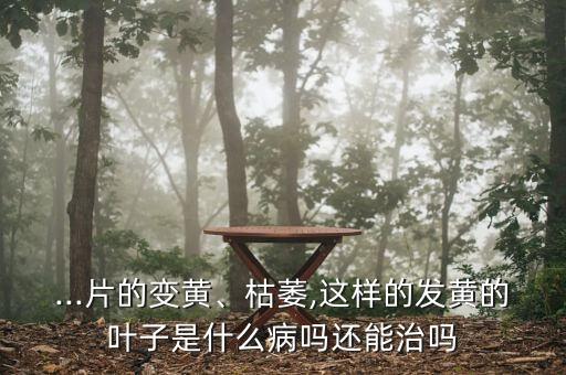絲瓜打什么農藥最好,絲瓜炭疽病用什么農藥