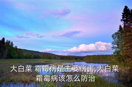 大白菜 霜霉病是主要病害,大白菜 霜霉病該怎么防治