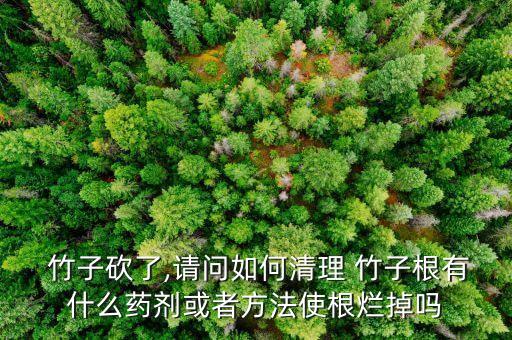  竹子砍了,請(qǐng)問(wèn)如何清理 竹子根有什么藥劑或者方法使根爛掉嗎