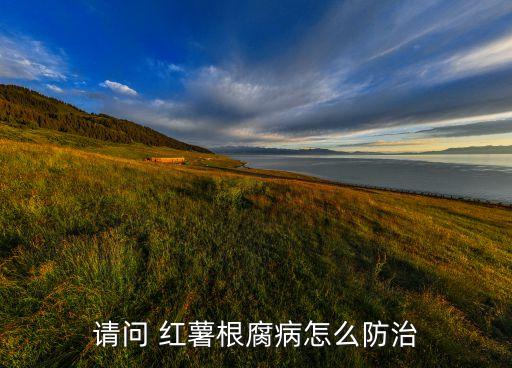 紅薯的莖線蟲用什么農藥,什么農藥殺線蟲最好